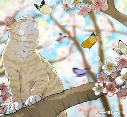 慵懒惬意的猫咪插画, 幸福得让人想哭, 不是多年的铲屎官体会不了