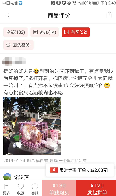 賺翻？120元在拼多多上購買中華田園貓有多可怕