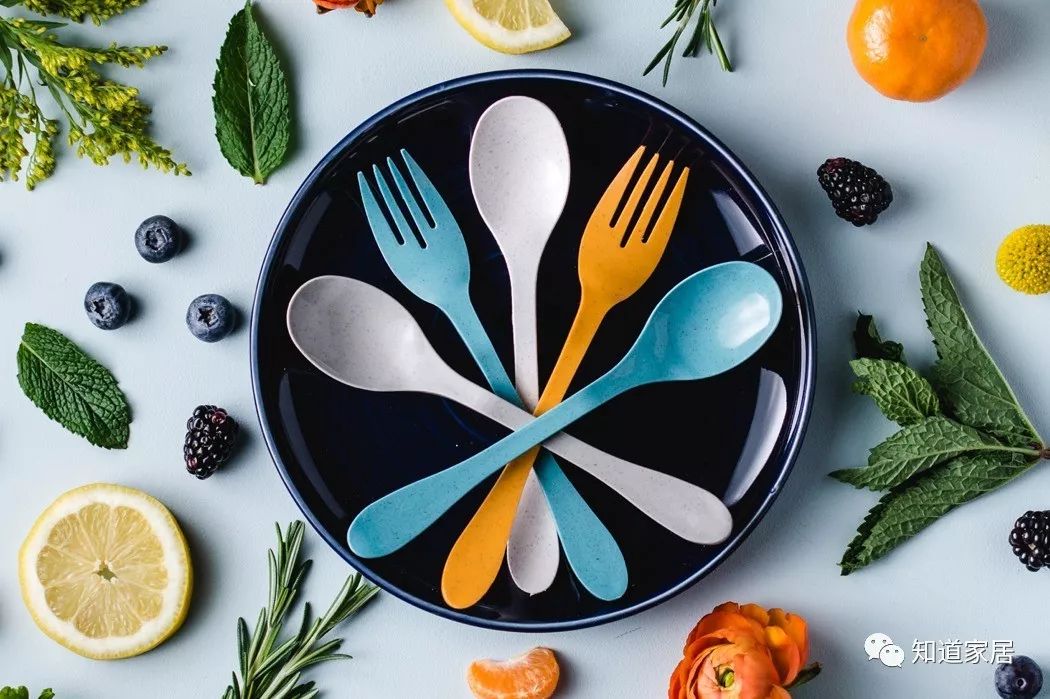 厨余垃圾、鸡蛋、甘蔗、树叶也能做餐具？原来厨房里处处可环保呀