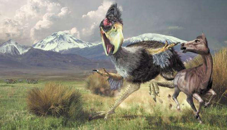 最恐怖的七大史前动物，当蜈蚣长到3米，当鳄鱼长达13米！