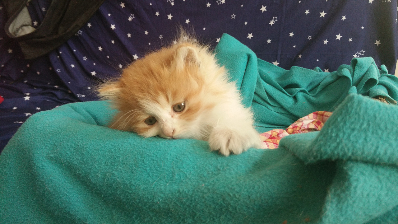 你要知道这个东西，否则会就会吃大亏， 看完记得收藏！