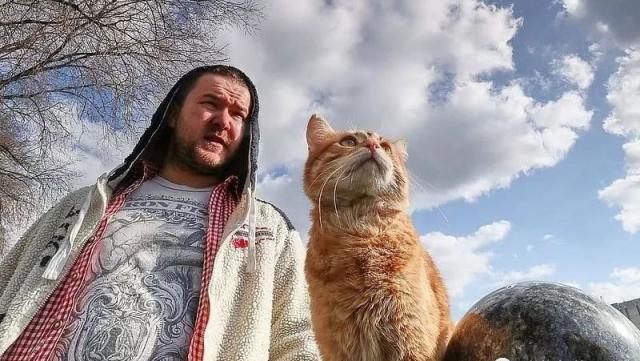 流浪猫投怀送抱，被司机收养，没想到竟带来意外的好运……