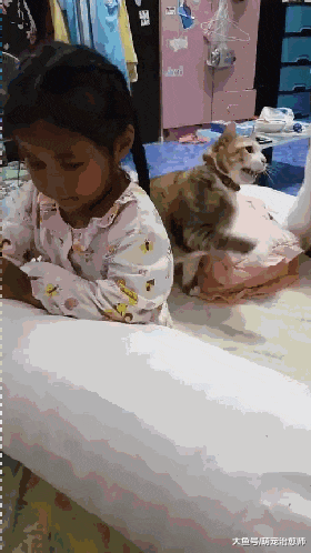 主人教训犯错的小女儿，猫咪看见后挺身而出护着她：不准再打了！