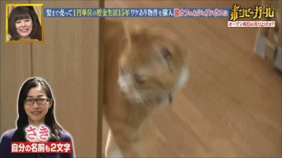 “月薪5000，我是如何做到15年买3套房的”