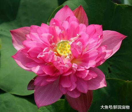 这个时辰出生的孩子，天生携财带福，长大后孝顺有出息！