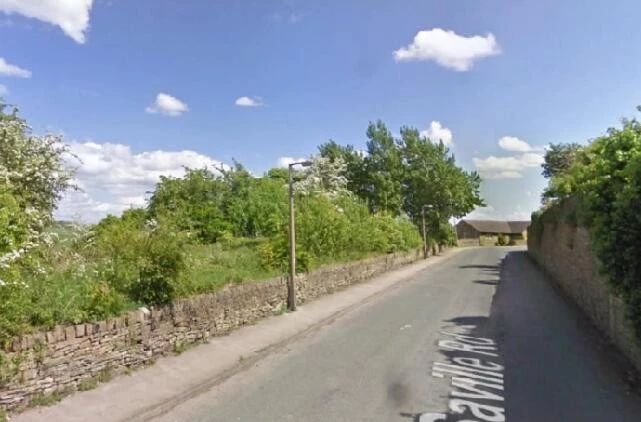 猫咪失踪后几经寻找无果，几天后却传来让他无法接受的噩耗