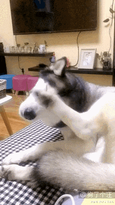 这是学校里最受欢迎的男人