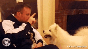 男子养了只大白狗，却像多了个“女儿”一样，也太粘人了吧