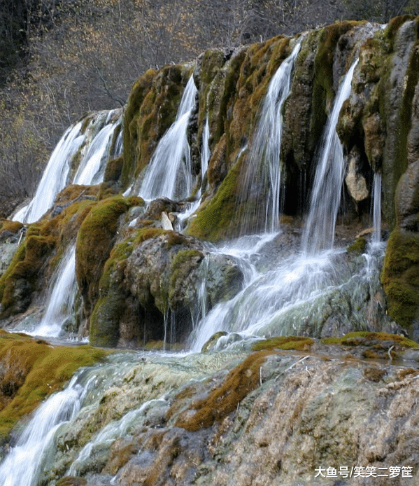 友人這一提起，讓我想起線籮潭里的筍殼魚