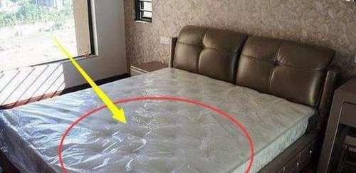 床垫睡久了“螨虫”扎堆爬,用2片叶子,不晒不洗,螨虫跑光光!