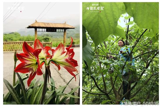 上山下乡，看房分田，买房送地……福州这个“另类”楼盘火了！