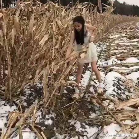 美女田地里解手，发现奇怪石头，专家鉴定后却占为己有