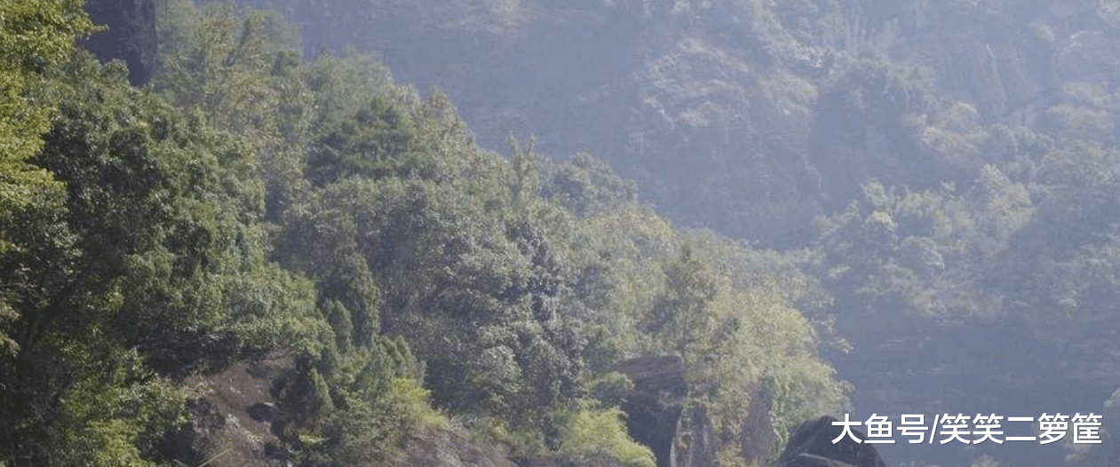 友人這一提起，讓我想起線籮潭里的筍殼魚