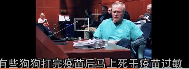美国兽医试点小型犬只打一半剂量疫苗，居然同样也能预防细小犬瘟