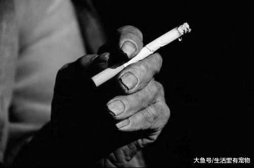 日本人也經常抽煙，但是壽命卻很長，這是怎么做到的？