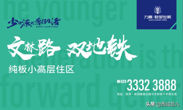 老虎会武术，谁也挡不住！这只网红老虎出手了！