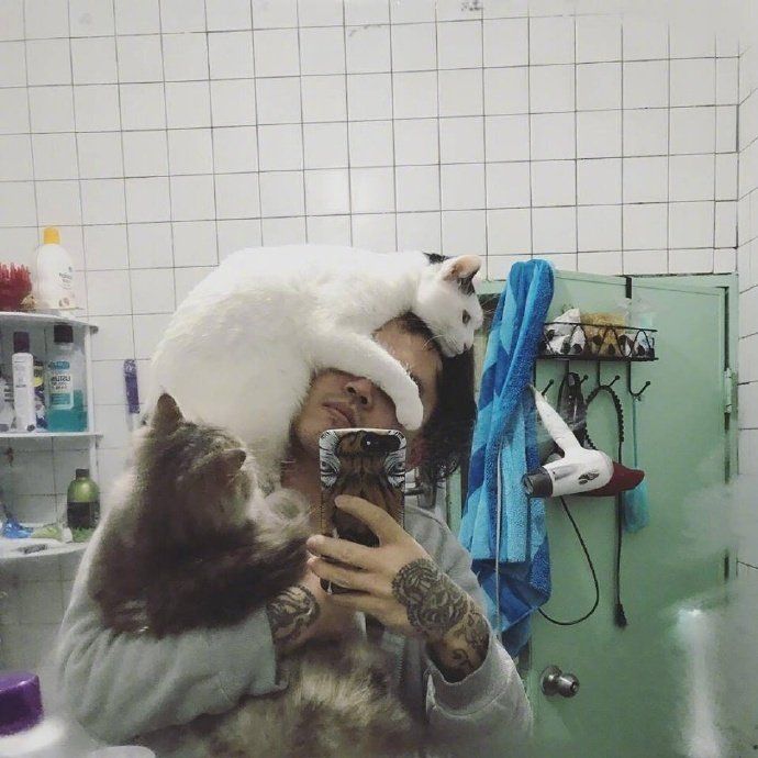 不要试图去掌控一只猫