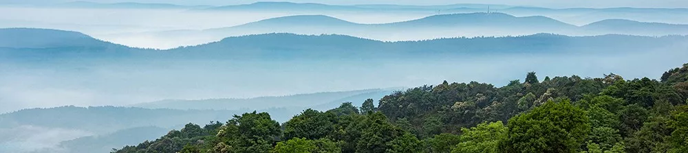 初秋时节，地产界首个轻食主义正在呈上