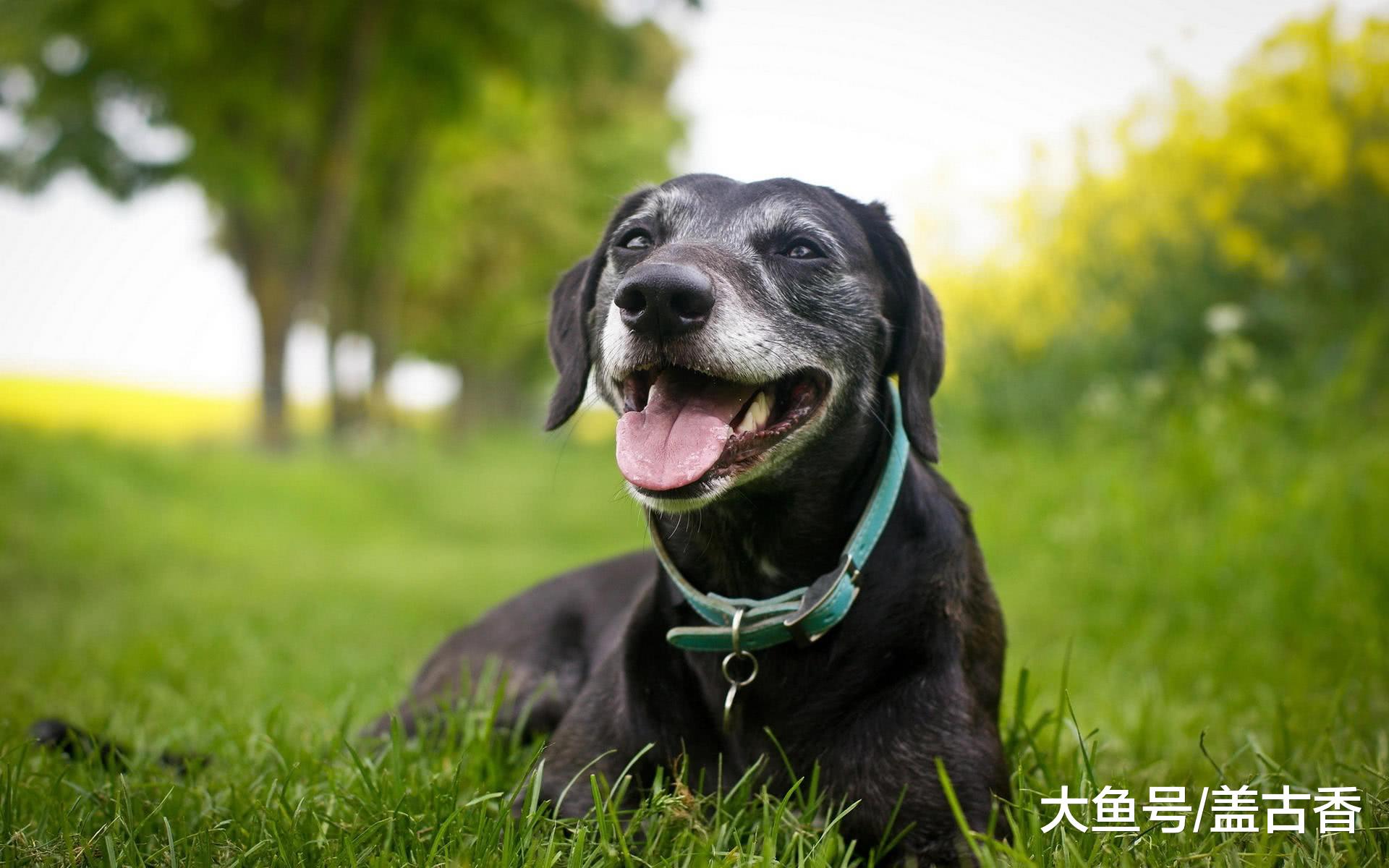 不经意间导致人类死亡的五大杀手！第一名是个不起眼的小家伙
