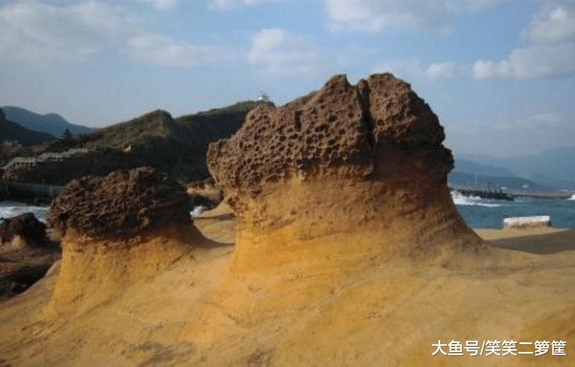 皇天不负苦心人, 他的等待终于有了回报