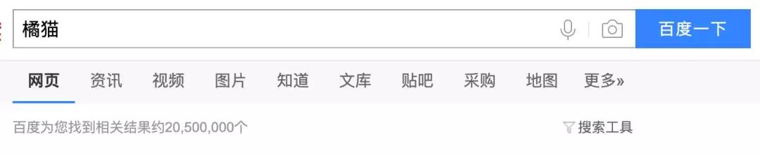 自从养了橘猫，我终于体会到什么叫“十橘九渣”！