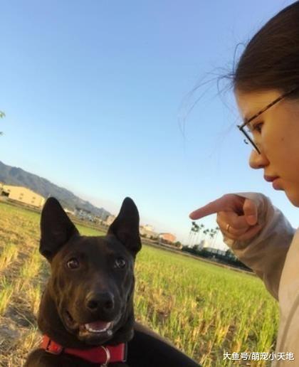 饲主远远看到爱犬翻白眼四肢僵直，以为被毒杀，下秒眼泪瞬间吸干