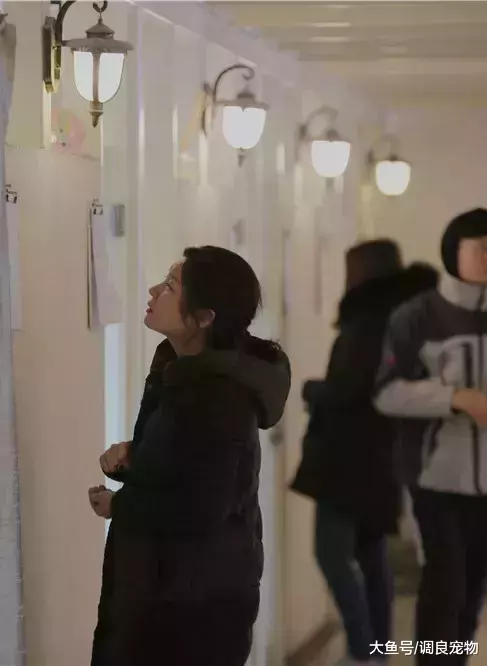 82期《调良宠物行为与正向训练专业培训班》开课了!
