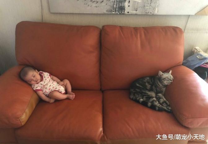 5个月宝宝哭不停, 妈妈搬出哄娃神器后秒露微笑让她自叹不如