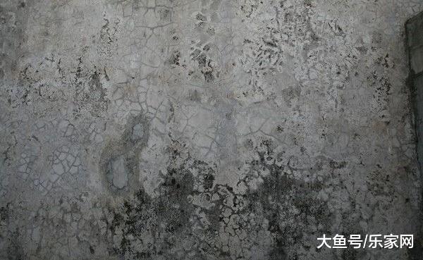 頭次見工人在水泥里加洗衣粉，被我捉到偷工減料，他卻不承認