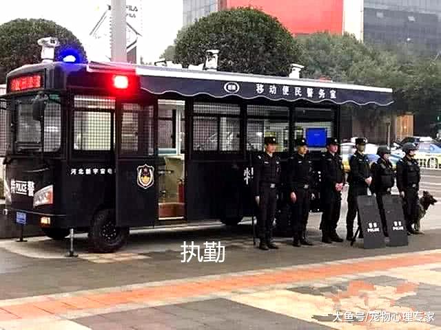 警犬执勤途中打了个哈欠，被同伴看见，它的反应有点可爱