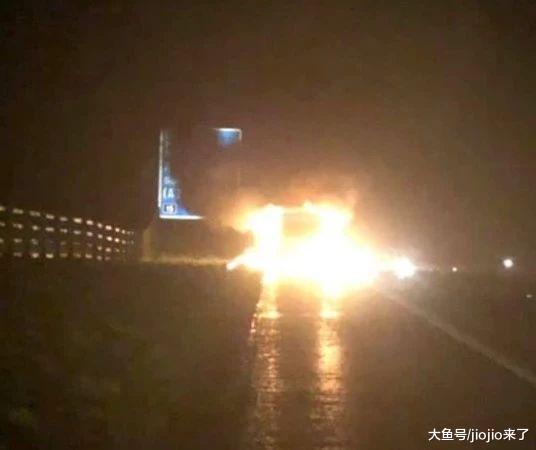 忠犬吉娃娃为救主人奋不顾身跳进燃烧的车, 主人全家安全它却……