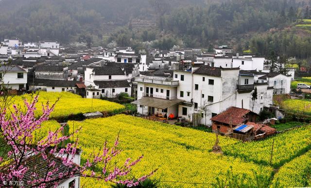 一个山东老乡提供的撤村并镇样本, 看看喜欢不?