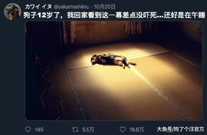 这是学校里最受欢迎的男人