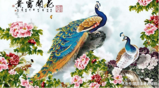 5月份即将迎来贵人的帮助，走上人生的巅峰，好运不断！