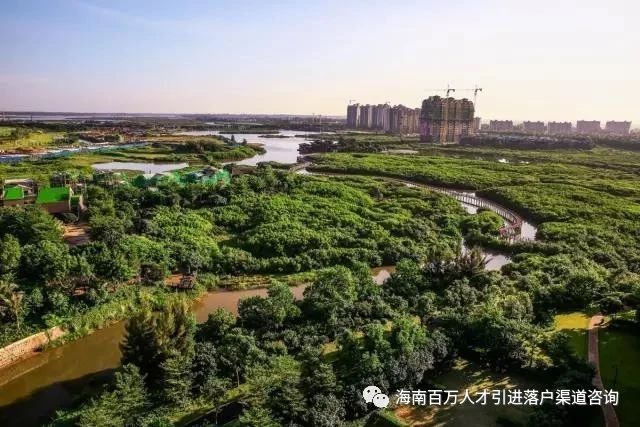 海南这4个地方的美景“有毒”，去一次就会上瘾