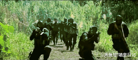 这种狗狗只有正常犬一半寿命，但却用它们一生，守护了地球的和平