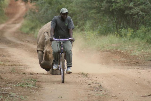 疯狂的非洲，这里危险无处不在
