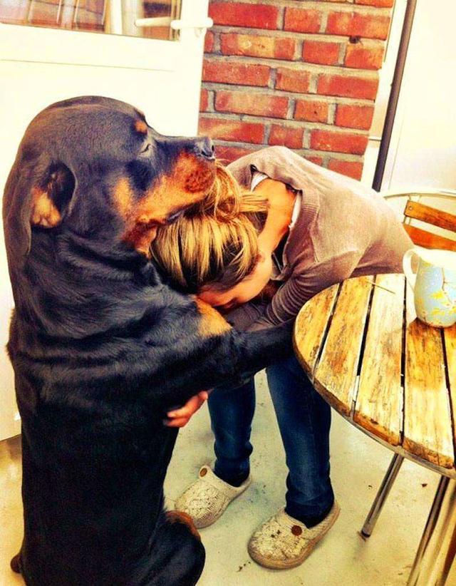 养狗这么多年, 关于狗狗的6个小秘密, 你知道几个?