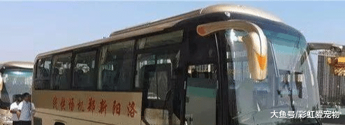 去往南部县城，不能在洛阳站周边坐长途车啦