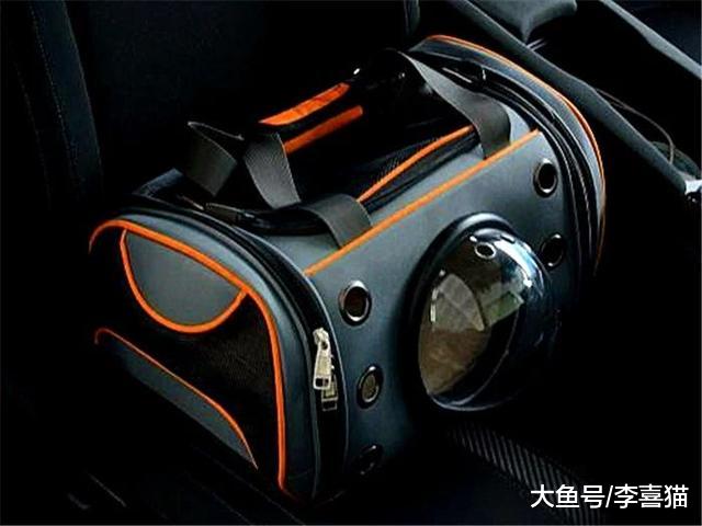 猫咪最讨厌的五类物品，主人需避免爱猫接触，防止因好奇心而受伤