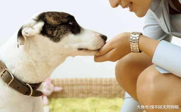 狗狗对你如果有这6种行为，说明它已经记恨你了，你有中招吗