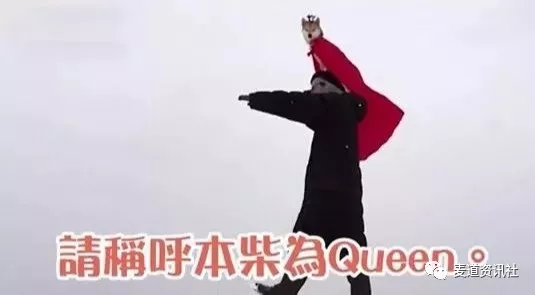 能将泳池玩出澡堂的感觉，大概只有这只狗了！