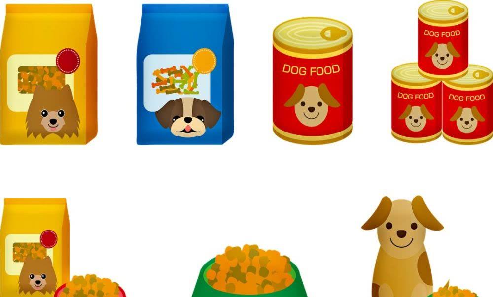 养狗狗有什么需要知道的？——营养饲喂篇