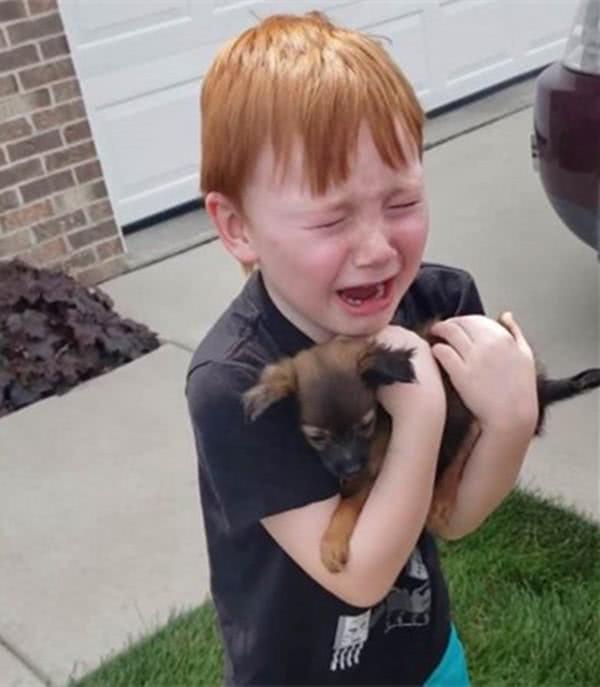 小男孩攒了一年半的零用钱，只为养狗，抱住狗狗那一刻，感动哭了