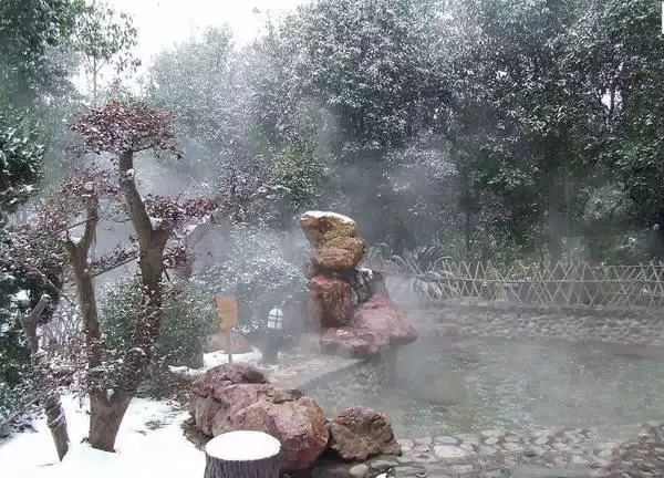 还出什么国？去了广西，等于去了全世界，不信你看