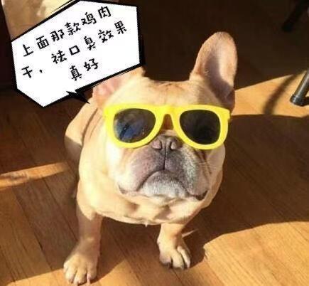 法國斗牛犬身上的“狗味”如何去除？答案如此簡單！