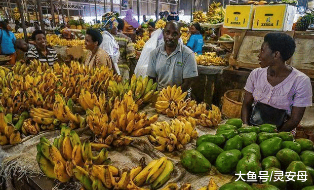 在非洲一颗白菜可换一盆猪蹄！当地人称，“垃圾”都卖给中国人！