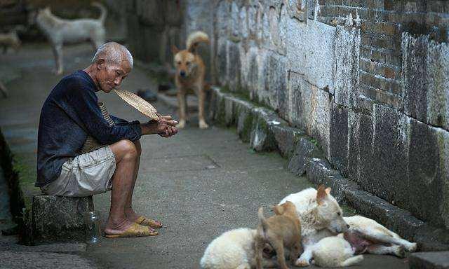 继鹤岗后，山东又一城市房子变“白菜价”，只要3万就能买一套？