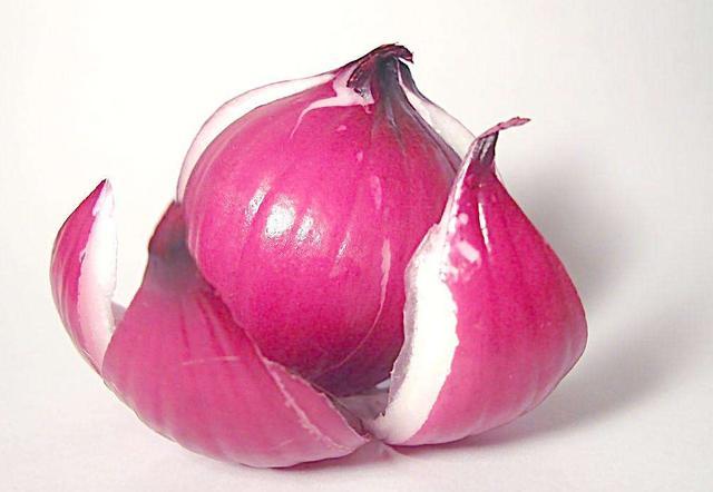 有哪些蔬菜狗狗是不能吃的? 以下4种蔬菜绝不能给狗狗吃, 谨记!