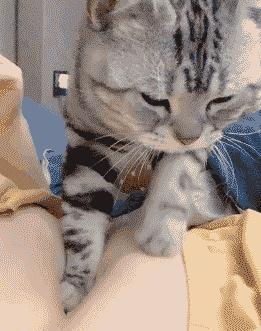 爆笑GIF图：舞蹈系女生能给你的生活带来更多的可能